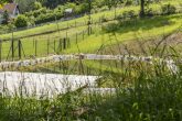 - PROVISIONSFREI direkt vom Bauträger - Klosterneuburg Kierling: Naturparadies mit Badeteich - Haus 1a Bezugsfertig - Bild